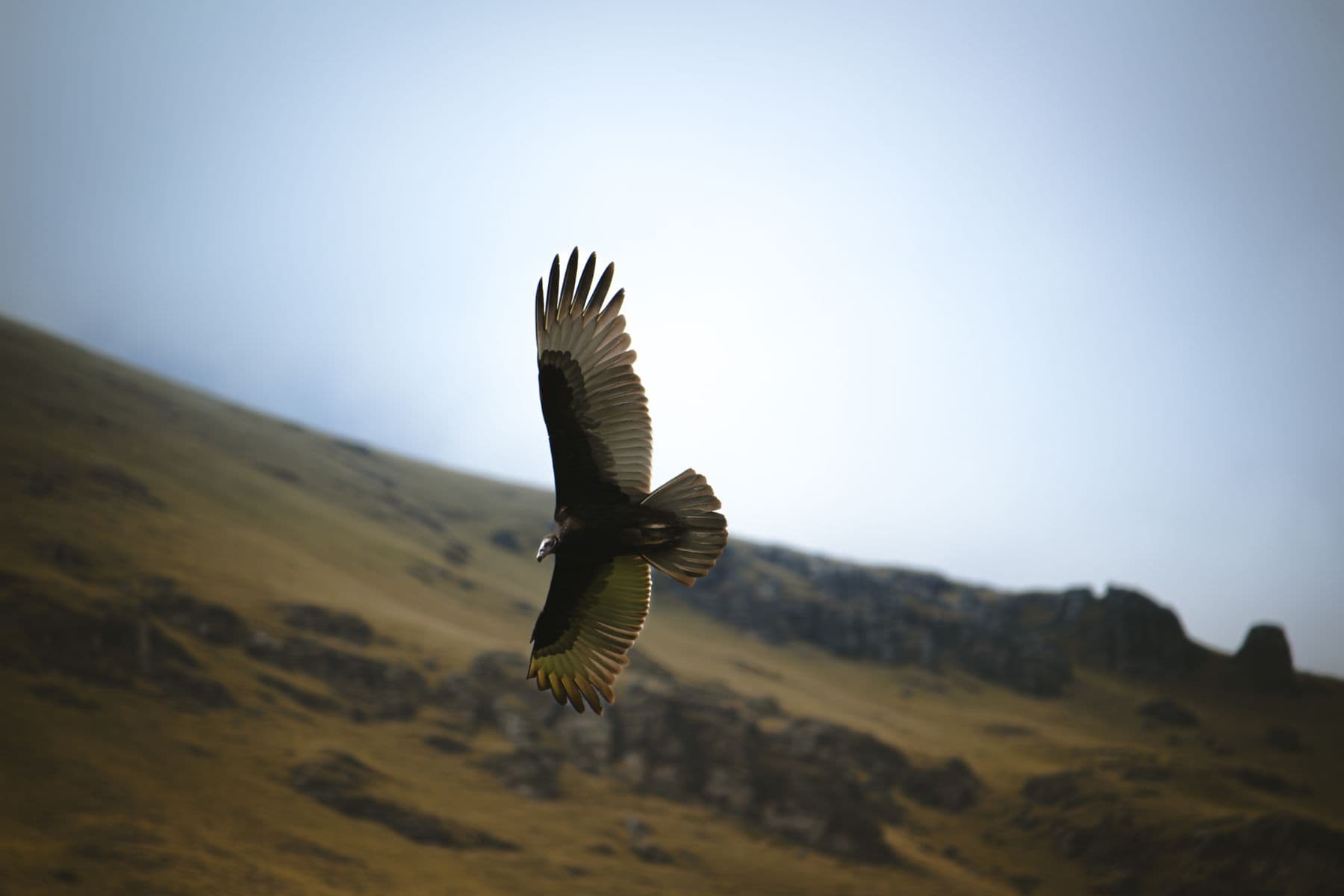 Tour al Mirador del Cóndor en Cusco y el Cañón de Chonta